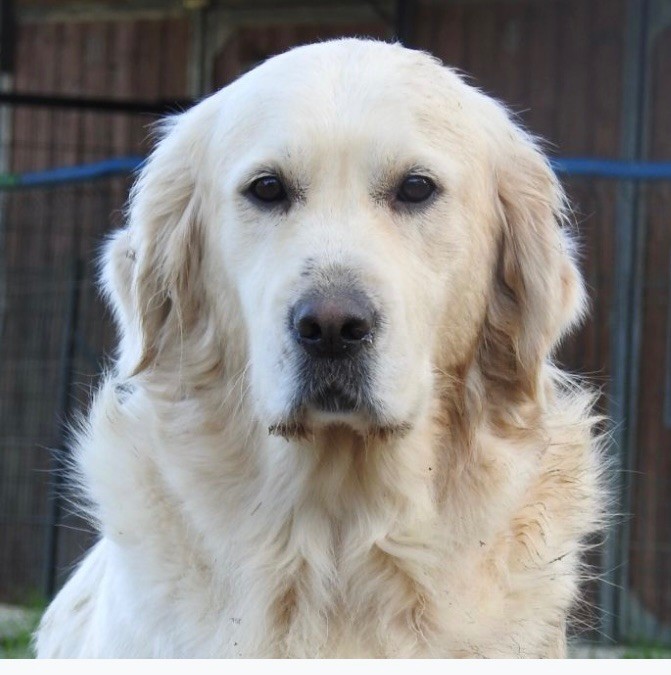 Prana de la belle lady