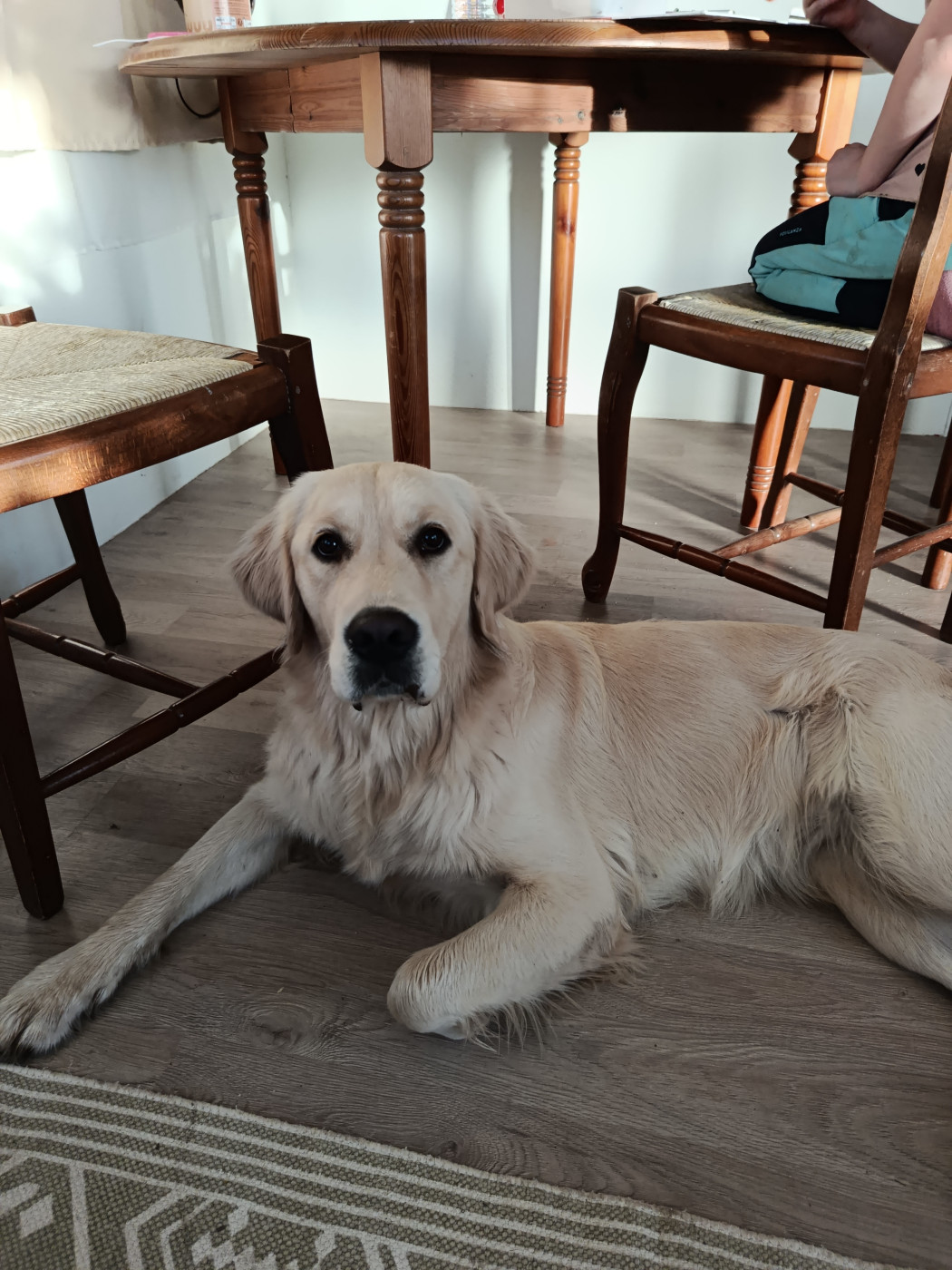 Vanille Du Bosquet De Betty