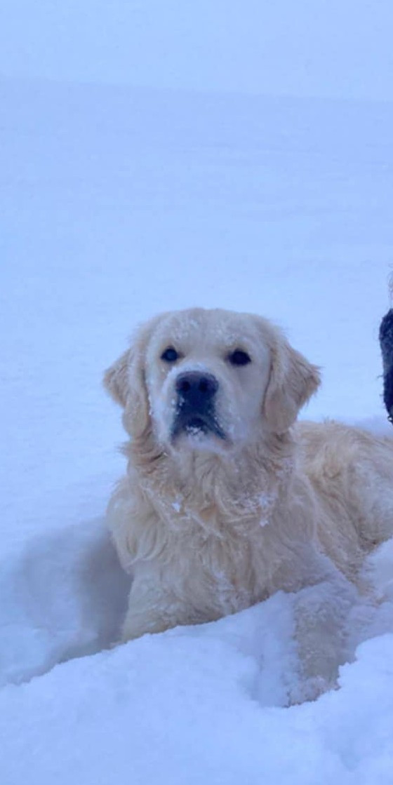 Virgul De La Colline D'Eole